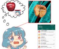 apple banana english food fruit funny meme orange pineapple raspberry soyjak strawberry tatara_kogasa ten_desires undefined_fantastic_object wojak // 1200x1000 // 720.6KB