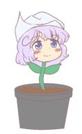 letty_whiterock perfect_cherry_blossom plant // 800x1300 // 15.4KB