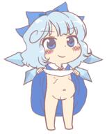 cirno embodiment_of_scarlet_devil fairy full_bodied nsfw pregnant wings // 800x1000 // 16.6KB