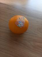 food fruit orange real_life tatara_kogasa ten_desires undefined_fantastic_object // 1770x2360 // 536.3KB