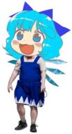 cirno embodiment_of_scarlet_devil fairy wings wtf // 304x559 // 244.2KB