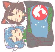 double_dealing_character full_bodied imaizumi_kagerou sleeping wakasagihime // 1200x1150 // 71.4KB