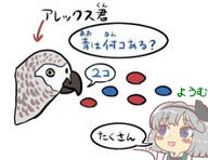 bird cheating_detective_satori konpaku_youmu meme perfect_cherry_blossom // 478x368 // 24.7KB