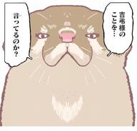 otter untranslated wtf // 370x355 // 92.8KB