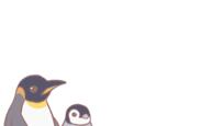 penguin tagme template // 1000x600 // 8.2KB