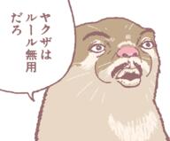 funny otter wtf // 619x511 // 87.9KB