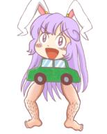 hybrid imperishable_night reisen_udongein_inaba vehicle wtf // 800x1000 // 468.2KB