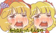 aki_minoriko aki_shizuha crying mountain_of_faith sad sisters // 421x248 // 118.5KB