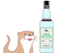 alcohol otter tagme // 1179x1075 // 58.3KB