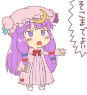 angry book embodiment_of_scarlet_devil full_bodied patchouli_knowledge untranslated // 1000x1100 // 52.8KB