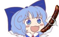 cirno embodiment_of_scarlet_devil food meat real_life sausage wings // 420x267 // 98.3KB